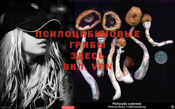 прущие крисы Карпинск