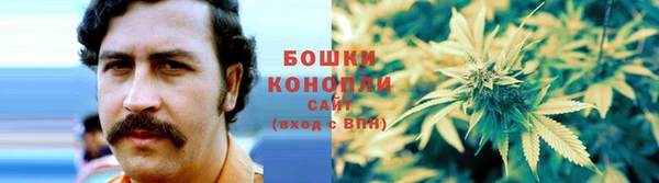 прущие крисы Карпинск