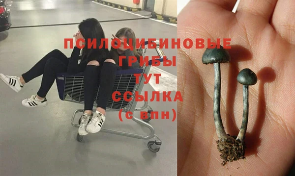 марки lsd Карталы