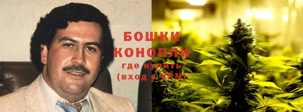 прущие крисы Карпинск